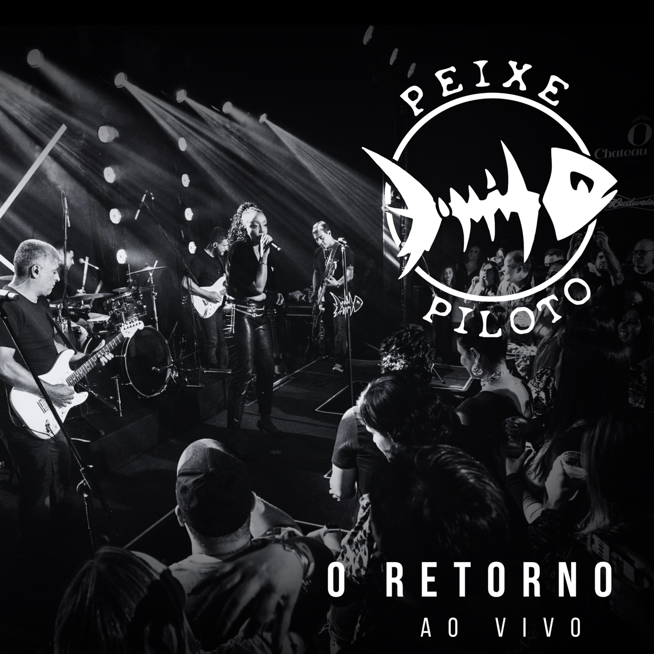 Peixe Piloto